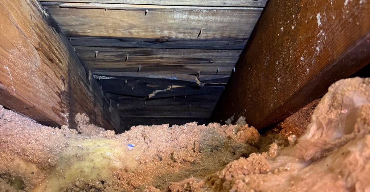 Attic ventilation and insulation
